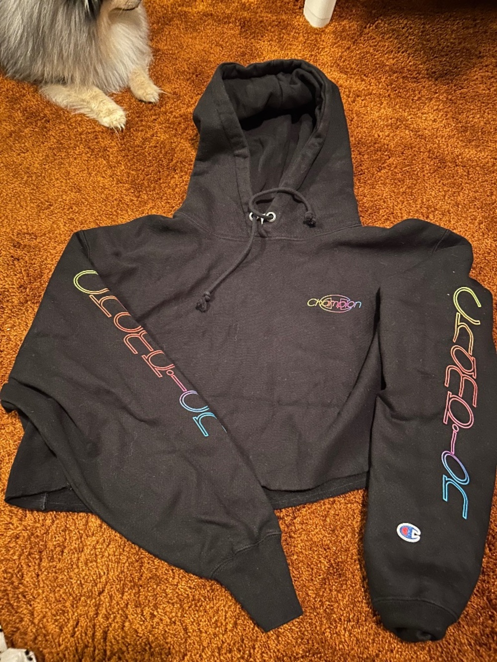 Champion hoodie crop top